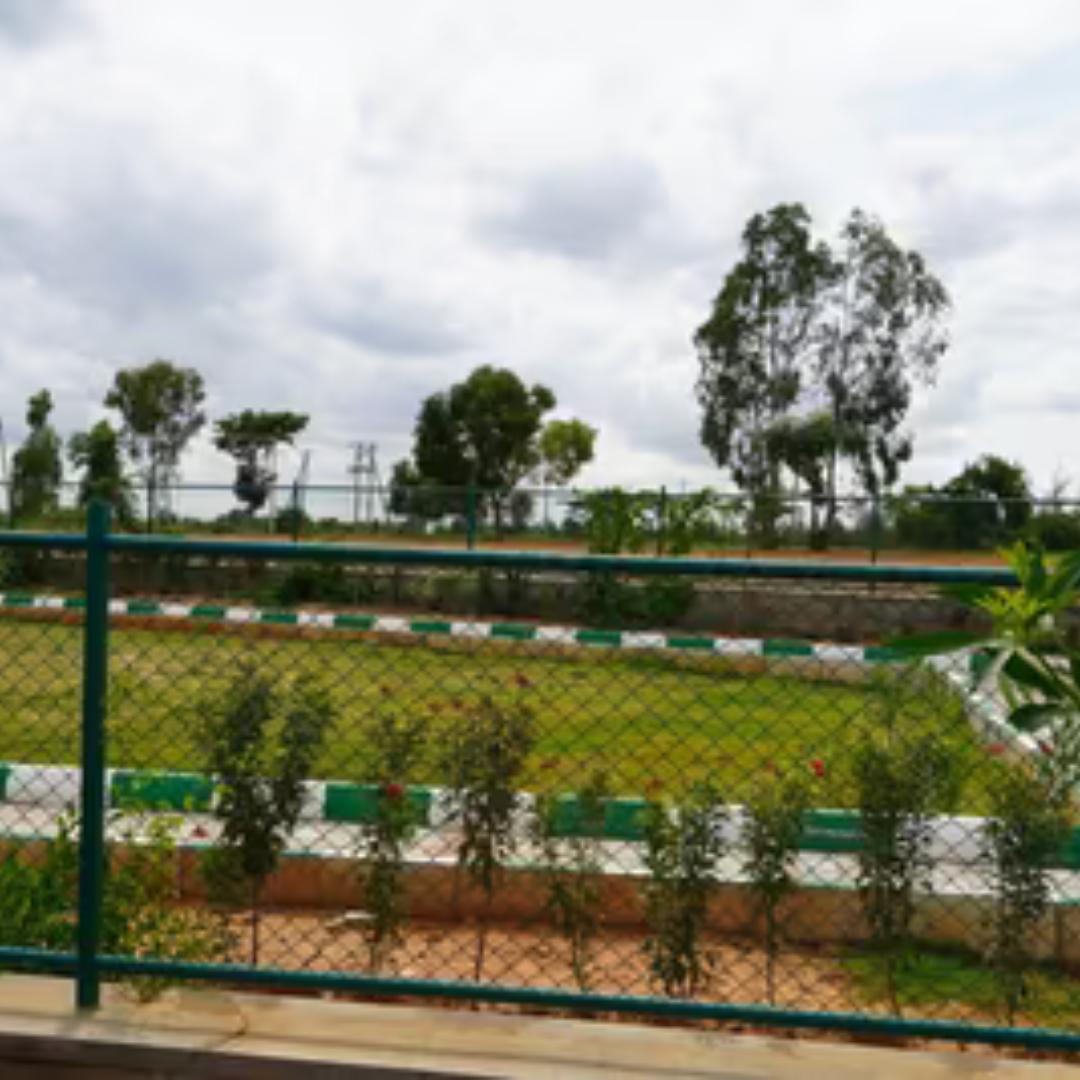 Alora Beneath The Woods